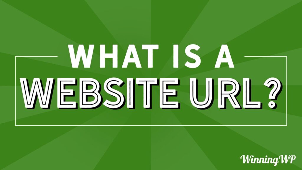 Understanding Website URLs